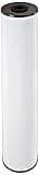 Pentair Pentek RFFE20-BB Big Blue Water Filter, 20-Inch, Whole House Radial Flow Iron Reduction Replacement Cartridge, 20" x 4.5", White