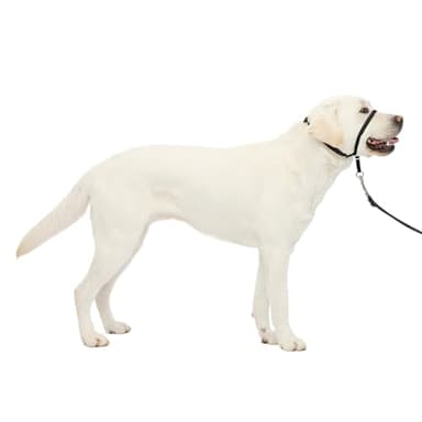PetSafe Gentle Leader No-Pull Headcollar - Breathable Lightweight Walking Halter - Minimal Strap Design & Padded Nose Loop - Snout-Specific Fit - Helps Gain Easy Control