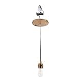 Worth Home Products - Instant Pendant Converter Adapter Only Kit – Transitional Recessed Light Conversion for E26 Mounted Cans (Satin Brass)