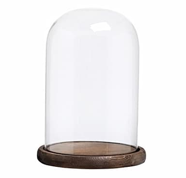 MyGift The Bell Jar Glass Cloche with Rustic Wood Base, 10 Inch Tall Clear Decorative Glass Dome Display for Plants, Curios, Keepsakes, Heirlooms