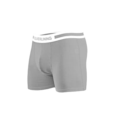 SILVERLINING E M F Blocking Underwear for Men – Boxer Brief with Anti Odor Silver Fabric, No Ride Up Legs | Faraday Shielding (US, Alpha, Large, Regular, Regular, 1, Grey)