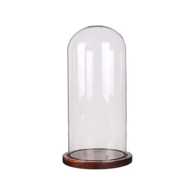 PTAHAN Glass Cloche Dome with Coffee Wood Base - 4.7" x 11" Display Case for Terrariums, Collectibles & Home Decor, Glass Dome Cloche with Natural Wood Base, Bell Jar Display Cover