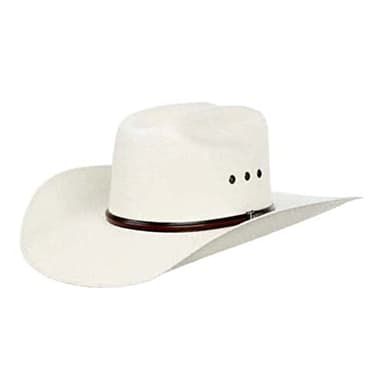 M&F Western Products TWISTER M&F Western Products TWISTER 5X Natural 4" Brim with Eyelets Straw Cowboy Hat Natural 73/8