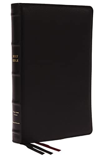 KJV Holy Bible: Large Print Thinline, Black Goatskin Leather, Premier collection, Red Letter, Comfort Print: King James Version