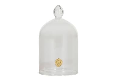 Alice Lane Glass Cloche – Clear Glass Dome Display Case for Home Decor, Centerpieces, Candles, Keepsakes & Collectibles – Elegant Decorative Cloche Dome for Table, Mantel, or Bookshelf | Salt