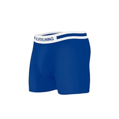 SILVERLINING E M F Blocking Underwear for Men – Boxer Brief with Anti Odor Silver Fabric, No Ride Up Legs | Faraday Shielding (US, Alpha, Small, Regular, Regular, 1, Dark Blue)