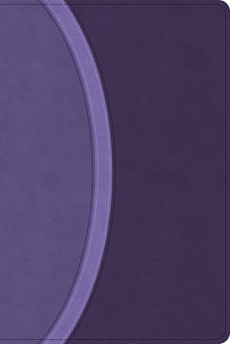 CSB Rainbow Study Bible, Purple LeatherTouch (Limited Edition), Full-Color Design, Black Letter, Color-Coded Reading Plan, Study Tools, Full-Color Maps, Easy-to-Read Bible Serif Type