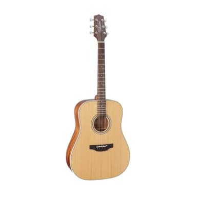 Takamine GD20-NS - Natural Satin