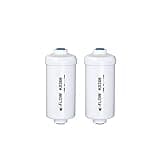 Berkey Authentic Berkey PF-2 Fluoride and Arsenic Reduction Elements (Set of 2 Elements)