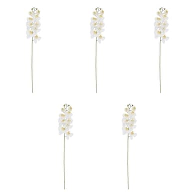 CG Hunter Faux Phale White Orchid Flower Stem Set-of-5, Premium Artificial Indoor Flower Stems 36", Beautiful Sculptural Blooms that Lasts Forever