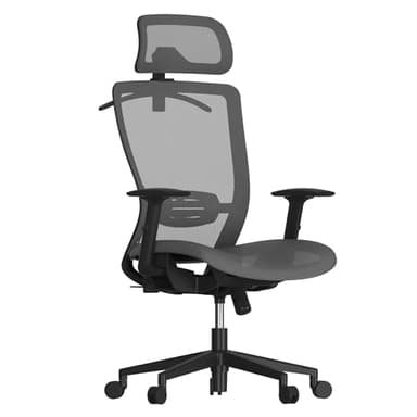FLEXISPOT Ergonomic Office Chair, High Back Mesh Swivel Computer Chair, Executive Office Desk Chairs, with Adjustable Lumbar Support/2D Headrest/Lockable Backrest, OC3 Mesh Seat, Gray