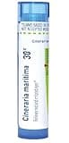 Boiron Cineraria Maritima 30C Homeopathic Medicine for Red & Irritated Eyes - 80 Pellets