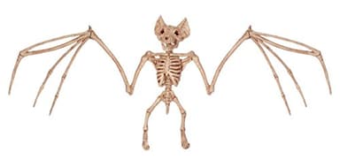 Crazy Bonez Skeleton - Bat Bonez