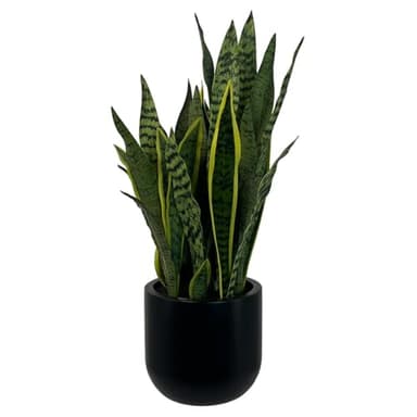 CG Hunter Faux Snake Plant, Premium Artificial Indoor Plant Stands 30” Tall and Enhances Interior Design, Lifelike-Leaves Create Realistic Natural Appearance, Black Planter Pot Included
