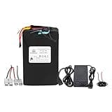 BtrPower 48V Battery 48V 25AH LiFePO4 Ebike Battery Pack with 40A BMS and 5A Fast Charger Fit for 350W 500W 750W 1000W 1500W Motor