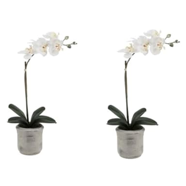 CG Hunter Faux Phale White Orchid Plant, Set-of-2 Premium Artificial Indoor Flower Display Stands 22”, Beautiful Sculptural Blooms that Lasts Forever, Planter Pot Included
