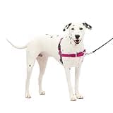PetSafe Easy Walk No-Pull Dog Harness - The Ultimate Harness to Help Stop Pulling - Take Control & Teach Better Leash Manners - Helps Prevent Pets Pulling on Walks, Medium/Large, Raspberry/Gray