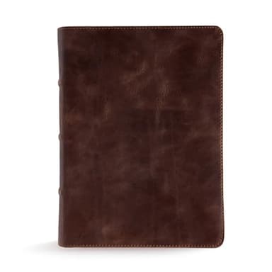 CSB Study Bible, Brown Genuine Leather, Red Letter, Study Notes and Commentary, Illustrations, Articles, Word Studies, Outlines, Timelines, Easy-to-Read Bible Serif Type