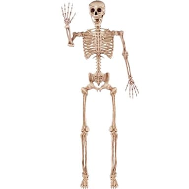 JOYIN 5.6 FT Halloween Posable Life Size Skeleton, Full Body Realistic Bones with Movable Joints, Giant Skeletons Halloween Decorations for Indoor Outdoor Haunted House Props, Spooky Scene Party Decor