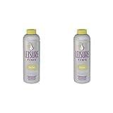 Leisure Time O-02 Filter Clean Cartridge Cleaner for Spas and Hot Tubs, 1-Quart, 2-Pack