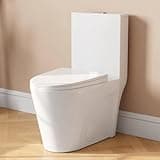 DeerValley Elongated One Piece Toilet for Bathrooms, Comfort Seat Height 17", Dual Power Flush Toilet 1.1/1.6 GPF MAP 900g, 12'' Rough-In