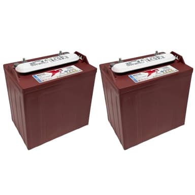 Trojan T-875 8V Deep-Cycle Flooded Battery, 170Ah, Golf Cart, Renewable Energy, Industrial, Marine Use (Pack of 2)