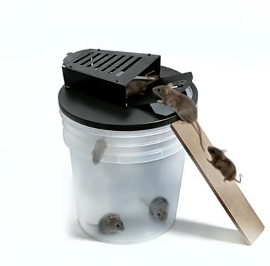 Latest Improvements 5 Gallon Bucket Mouse Trap Lid - Heavy-Duty Metal Flip-Top (Bite-Proof), Auto Reset Repeat Catch, Anti-Escape Adjustable Sensitivity, 5-Min Assembly Indoor/Outdoor