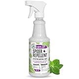 Mighty Mint - 16oz Spider Repellent Peppermint Oil - Natural Spray for Spiders and Insects - Killer + Deterrent
