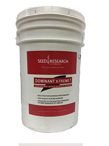 Dominant X-Treme 7 Creeping Bentgrass Blend 25 lb Pail