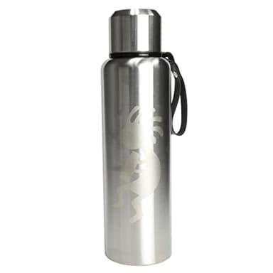 Aquapelli Vacuum Insulated Water Bottle, 50 Ounces, Stainless Steel