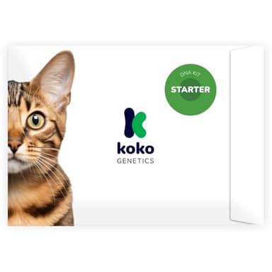 Koko Genetics Starter DNA Test for Cats, Analyzes & Identifies 40+ Breeds and Offers 46+ Genetic Traits and Family Tree Reports, Lifetime Updates Included
