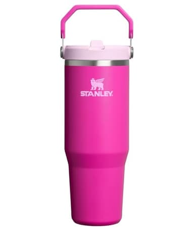 STANLEY IceFlow 2.0 Flip Straw Tumbler with Handle 30 oz | Twist On Lid and Flip Up Straw | Leak Resistant Water Bottle | Insulated Stainless Steel | BPA-Free | Violet Blossom