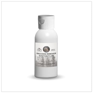 Raccoon Eviction Fluid 1 Oz Non-Toxic | Effectively Get Rid of Mama Raccoon & Babies Safely Out of Attics Chimney Basement | Made of Predatory Animal Glands Fox Coyote Urine | Racoon Repellent