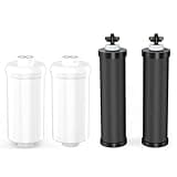 Water Filter and PF-2® Fluoride Filters Replacement for Berkey® BB9-2® Activated Carbon Filters and Fluoride Filters PF-2® Combo Pack, Pack of 4