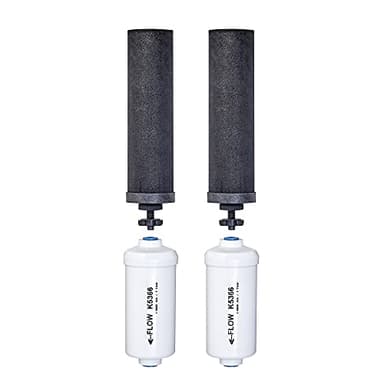 Set of 2 Berkey Authentic Black Berkey Elements (BB9-2) and 2 PF-2 Fluoride Reduction Elements - Combo Pack