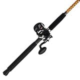 Ugly Stik Bigwater Casting Fishing Rod & Penn Rival Level Wind Conventional Reel Combo