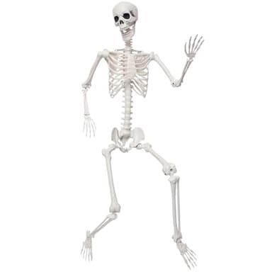 SHOCOSTO 5.9Ft Giant Skeleton Life Size Human Bones with Movable Joints for Halloween Props Decorations