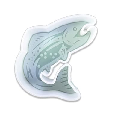 Duawenki Salmon Shape Car Freshie Silicone Mold for Making Soap Aroma Beads Car Freshie, Pendant, Candle,Decoration,Sculpture Resin