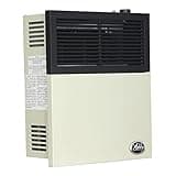 Ashley Hearth Products 11,000 BTU Direct Vent Liquid Propane Wall Mounted Heater with Piezo Lightning, Safety Pilot and Built In Regulator, Cream