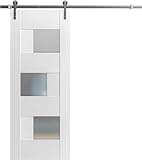 VDOMDOORS Modern Barn Door 36 x 80 inches Opaque Glass/Sete 6933 White Silk/Stainless Steel 6.6 feet Rail Track Set/Solid Panel Interior Doors