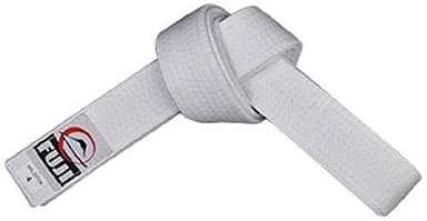 FUJI Sports All-Purpose Martial Arts Belt - Colorful Judo, Karate, and Durable MMA Belt