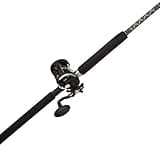 PENN 6’6” Rival Level Wind Fishing Rod and Reel Conventional Combo, 6’6”, 1 Tubular Fiberglass Fishing Rod with 2 Reel, Durable, Break Resistant and Lightweight