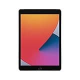 Apple iPad (10.2-inch, Wi-Fi, 128GB, 8th Generation)- Space Gray (Renewed)