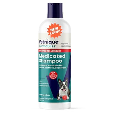 Our 10 Best Shampoo For Mites On Dogs for 2026 [US] | OneClearWinner.com