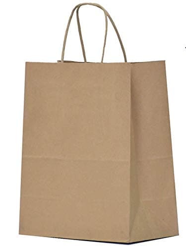 Qutuus 10x5x13 Kraft Paper Bags 100 Pcs Kraft Shopping Bags, Paper Gift Bags for Retail, Merchandise, Recycled Bulk Paper Sacks, Brown Paper Bags with Handles Bulk