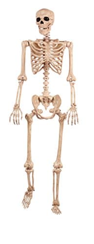 Crazy Bonez Original Pose-N-Stay Halloween Skeleton, 5 FT – Life-Size