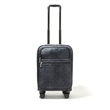 Baggallini 4 Wheel Carry-On