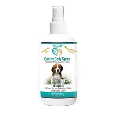 Big Mare Dog Spray | Effective On Hotspots, Yeast, Dermatitis, Staph, Ringworm, Hair Loss, & More. Antibacterial & Antifungal | Vet Approved & Recommended. (8 oz)