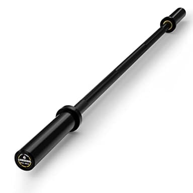 LIONSCOOL Premium 4ft Barbell (Black E-coating, 4FT, 500LBS)
