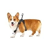 Insta360 GO 3/GO 3S Pet Harness Mount Size S